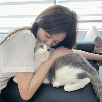 隋唐英雄